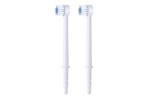 Comprar RECAMBIO CEP WATERPIK WP100/360/450 2 BOQUILLAS CEPILLO