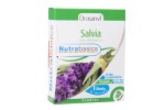 Comprar online SALVIA 30 CAP NUTRABASICS DRASANVI