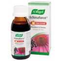 ECHINAFORCE HOT DRINK(SAUCO) 100 CC BIOFORCE