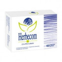 HERBECOM 60 COMP (CURCUMA).BIOSERUM