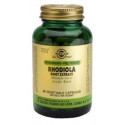 RODIOLA ESTANDARIZADO 60 CAP SOLGAR