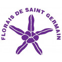 SAINT GERMAIN CORONARIUM 10 ML.