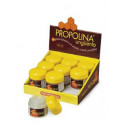 PROPOLINA UNGÚENTO 50ML ARTESANIA AGRICOLA