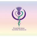 FINDHORN VOICE CONFIDENCE 30 ML