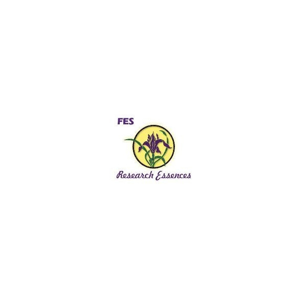Comprar online E.F. SPREADING PHLOX 30 ML. FES CALIFORNIA - Coliseum