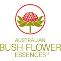 Comprar online E.F. LICHEN ESSENCE 15 ML AUSTRALIA BUSH - Coliseum