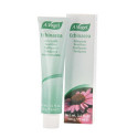 DENTAFORCE ECHINACEA 100 G BIOFORCE