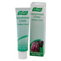 CREMA DE SYMPHYTUM 35 G BIOFORCE