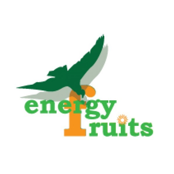 Comprar online SPIRULINA 500MG 120 COMP ENERGY FRUITS - Coliseum