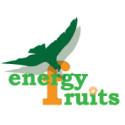 Comprar ALGARROBA POLVO 200GR. ENERGY FRUITS online - Coliseum
