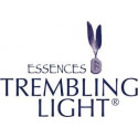 Comprar TREMBLING LIGHT  LLAVE DE LA PUREZA 15 ML online - Coliseum