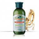 CORPORE SANO CHAMPU GINSENG GINKGO REFORZANTE 300 ML