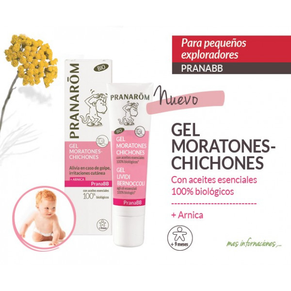 PRANABEBE GEL MORATONES CHICHONES BIO 15 CC PRANAROM