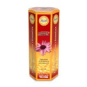 APICOL PROPOLIS ECHINACEA 6O ML TONGIL