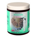 NUTRIORGANS INTESTINO 250 GR. TONGIL