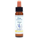 E.F. OAK 10 ML HEALING HERBS
