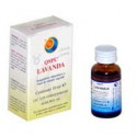 LAVANDA QSPC 10 CC HERBOPLANET