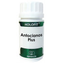 HOLOFIT ANTOCIANOS 60 CAP. EQUISALUD
