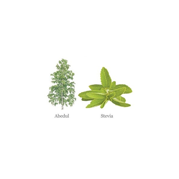 SUCRAFOR AZUCAR DE ABEDUL CON STEVIA 750 G