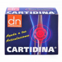 CARTIDINA 20 VIALES DIRECTNUTRITION
