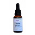 FINDHORN SWEET DREAMS (TRANQUILIDAD) 30 ML