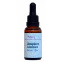 FINDHORN KARMA CLEAR (ENTENDIMIENTO) 30 ML