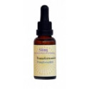 FINDHORN TRANSFORMATION (CAMBIOS/ADICCIONES) 30 ML