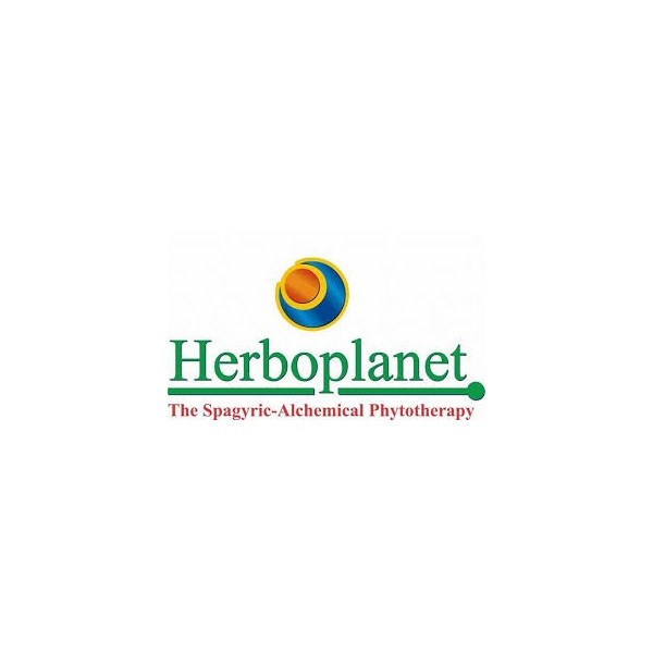 CYNARA COMP HS204 SIN ALCOHOL 50 CC HERBOPLANET