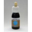 ACEITE CHIAPAS 60 CC. BELLSOLA