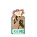 INFOSOR VE-11JARABE 250 ML. BELLSOLA
