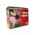 ECHIN ROYAL 20 AMP. CFN