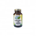 AGNUS CASTUS ST 60 CAP CFN