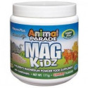 ANIMAL PARADE MAG KIDZ POLVO (MAGNESIO CITRATO) 171 G NATURES PLUS