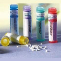 Comprar online CHELIDONIUM COMPOSE GRANULOS  BOIRON - Coliseum