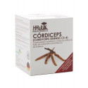 CORDICEPS 60 VCAPS HAWLIK NUTRINAT