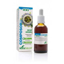 COMPOSOR 28 XXI NERVAL COMPLEX 50 CC SORIA NATURAL