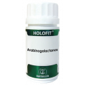 HOLOFIT ARABINOGALACTANOS 50 CAP EQUISALUD