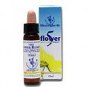 E.F. RESCUE REMEDY (CINCO FLORES) 10 ML HEALING HERBS