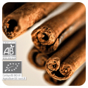 ACEITE ESENCIAL DE CANELA DE CEILAN  BIO (CINNAMOMUM ZEYLANICUM) 5 CC PRANAROM