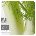 ACEITE ESENCIAL DE HINOJO  BIO (FOENICULUM VULGARE) 10 CC PRANAROM