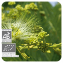 ACEITE ESENCIAL DE CLAVO  BIO (EUGENIA CARYOPHYLLUS) 10 CC PRANAROM