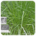 ACEITE ESENCIAL DE PALMAROSA  BIO (CYMBOPOGON MARTINII) 10 CC PRANAROM
