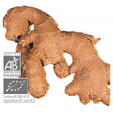 ACEITE ESENCIAL JENGIBRE BIO (ZINGIBER OFFICINALE) 5 CC PRANAROM