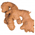 ACEITE ESENCIAL DE JENGIBRE (ZINGIBER OFFICINALE) 5 CC PRANAROM