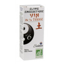 Comprar ELIXIR 6 YIN ESTOMAGO PANREAS MELISA 50CC 5 SAISONS online