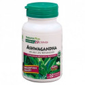 ASHWAGANDA 450 MG 60 CAP NATURES PLUS