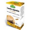 Comprar online CANELA (CON CINNULIN) 40 CAPS. DR. DUNNER - Coliseum