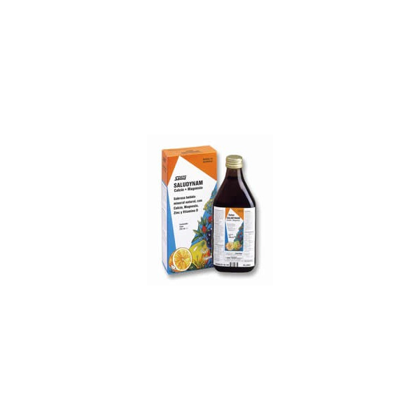 Comprar online SALUDYNAM (CA+MG) 250 ML. SALUS - Farmacia Coliseum