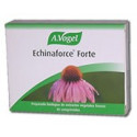 Comprar ECHINAFORCE FORTE 30 COMP BIOFORCE online - Farmacia Coliseum