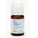 Comprar CALCIUM SULFURICUM N 12 80 COMP 250 MG SCHWABE-SS online
